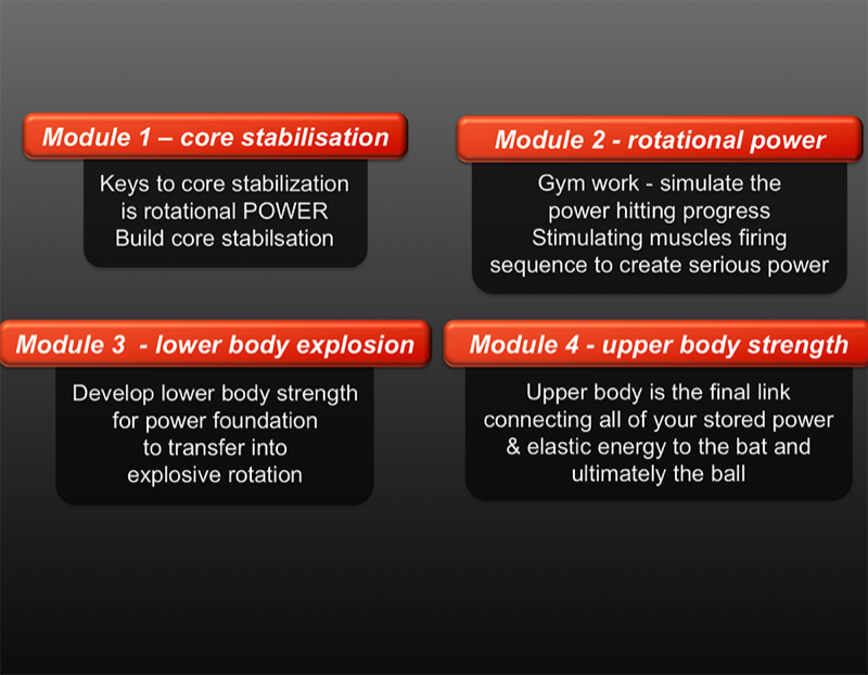 Programme power modules pic